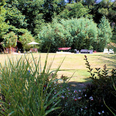 Flower bed with pool area in background
